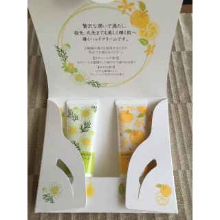 サイシュンカンセイヤクショ(再春館製薬所)の【再春館製薬所】ハンドクリーム（非売品）(ハンドクリーム)