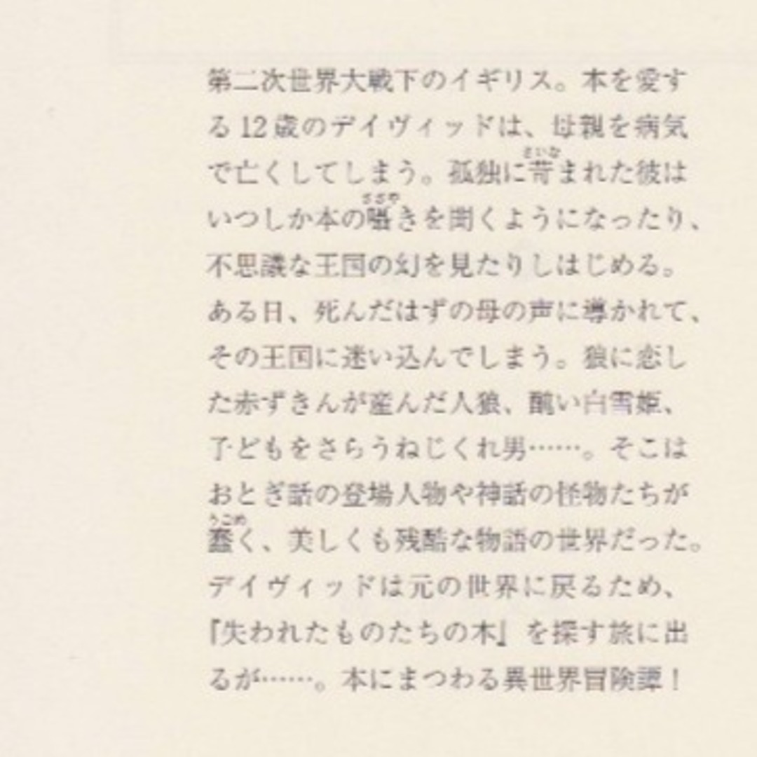 失われたものたちの本 エンタメ/ホビーの本(文学/小説)の商品写真