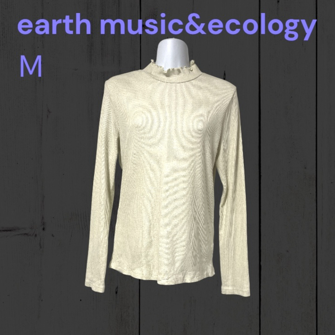 earth music & ecology(アースミュージックアンドエコロジー)のS1358❤️ earth music&ecology ハイネックカットソー　M  レディースのトップス(カットソー(長袖/七分))の商品写真