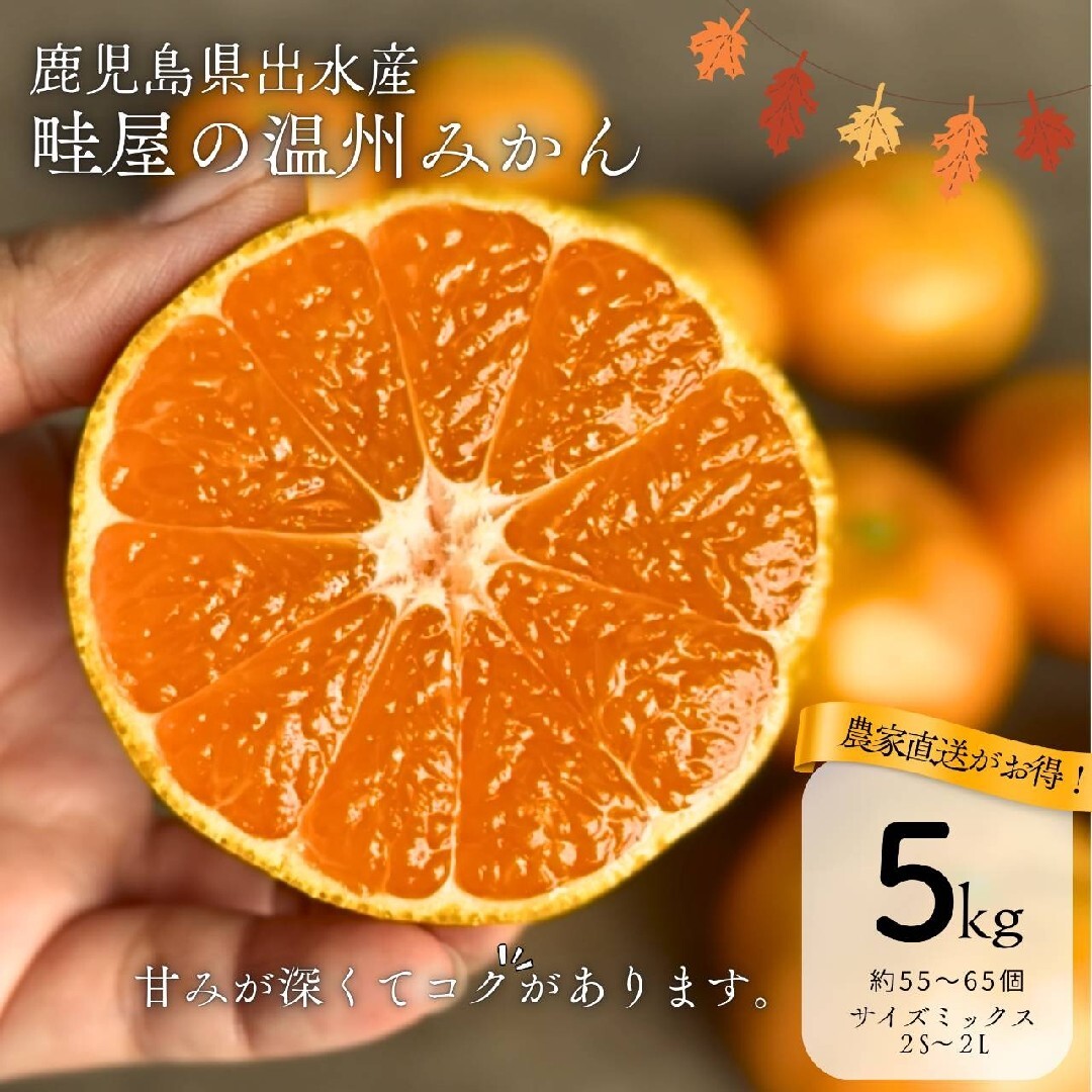【神コスパ】【甘くて鮮度抜群】【畦屋のみかん】【5キロ】鹿児島県出水産   食品/飲料/酒の食品(フルーツ)の商品写真