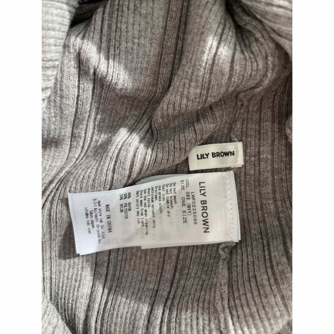 Lily Brown(リリーブラウン)のLILY BROWN エンブロイダリーレイヤードワンピース レディースのワンピース(ロングワンピース/マキシワンピース)の商品写真