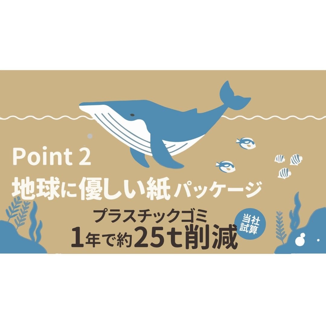 三菱鉛筆 ボールペン替芯 ジェットストリーム 多色多機能 0.5mm 黒 10本 その他のその他(その他)の商品写真