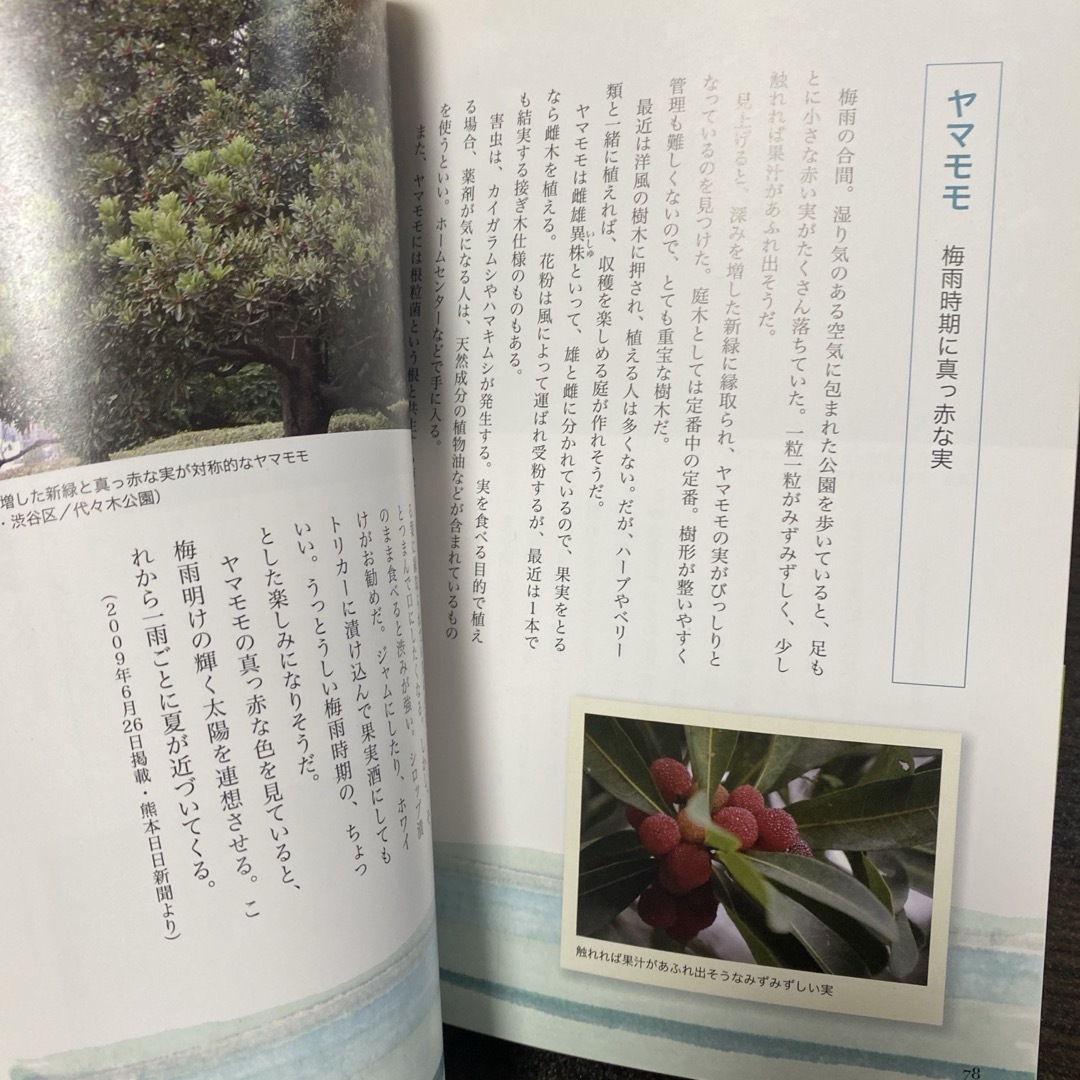 樹を診る女(ひと)のつぶやき エンタメ/ホビーの本(人文/社会)の商品写真