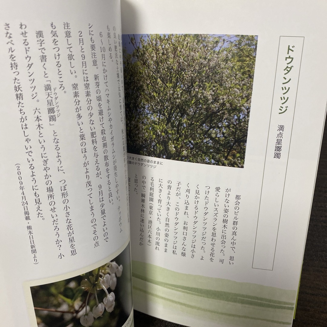 樹を診る女(ひと)のつぶやき エンタメ/ホビーの本(人文/社会)の商品写真