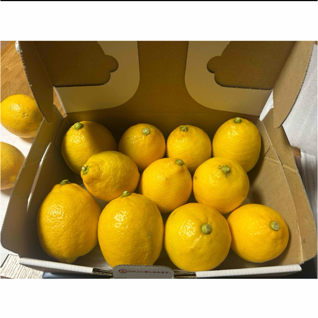 無農薬 国産 露地栽培レモン(ノンワックス) 食品/飲料/酒の食品(フルーツ)の商品写真