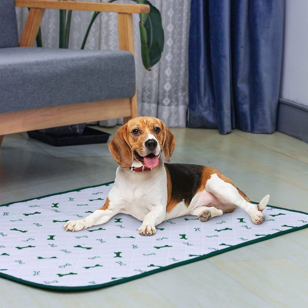 ULIGOTA 洗える ペットシーツ 犬　猫用 おしっこマット ペットマット　下 その他のペット用品(犬)の商品写真