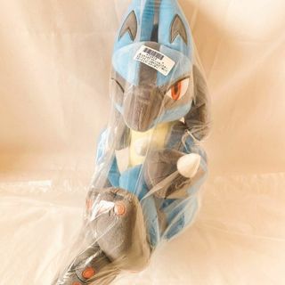 ポケモン - ポケモンキャンバス ぬいぐるみ ムックルの通販 by