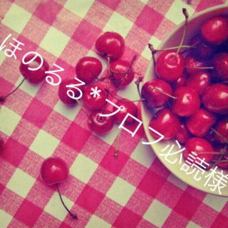 ほのるる*プロフ必読様専用(オーダーメイド)