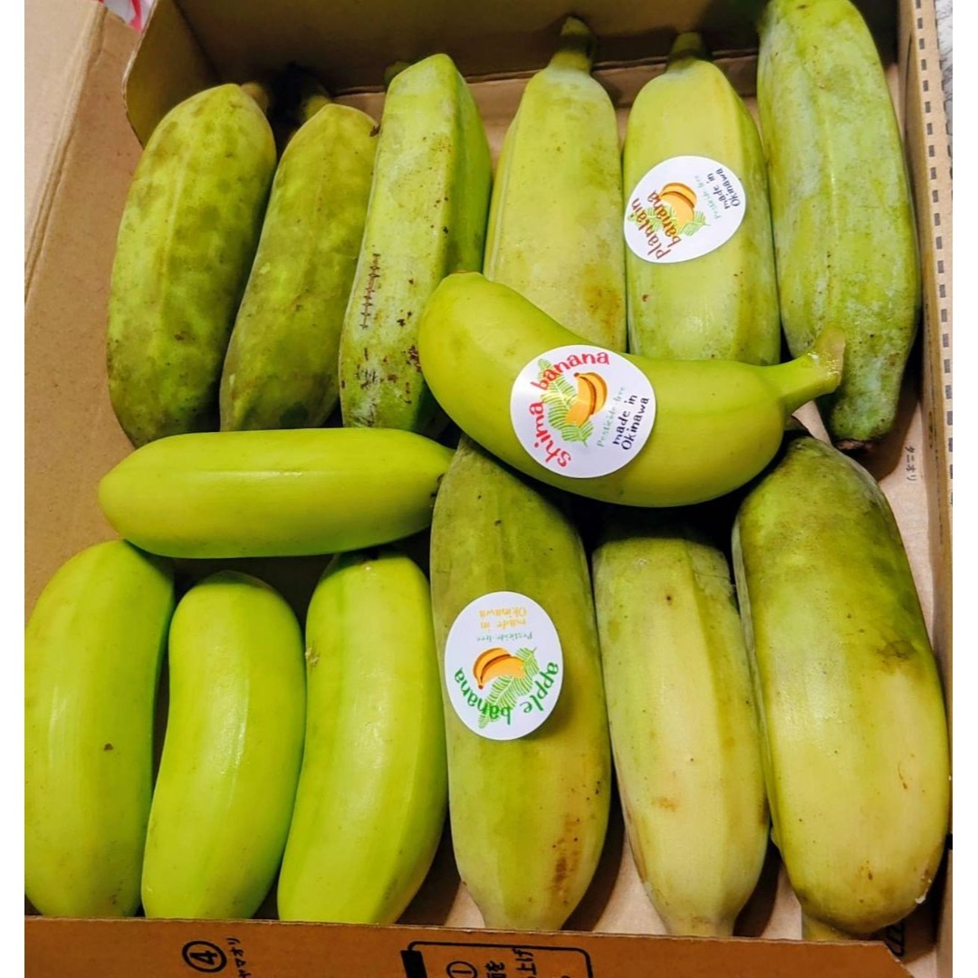 人気の国産バナナ３種！食べ比べ！沖縄本島北部産！３種バナナ ♪ 食品/飲料/酒の食品(フルーツ)の商品写真