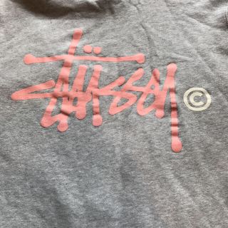 ステューシー(STUSSY)のstussy パーカー(パーカー)