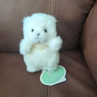 たけのこ プチプチらんど森のなかま クマ 白