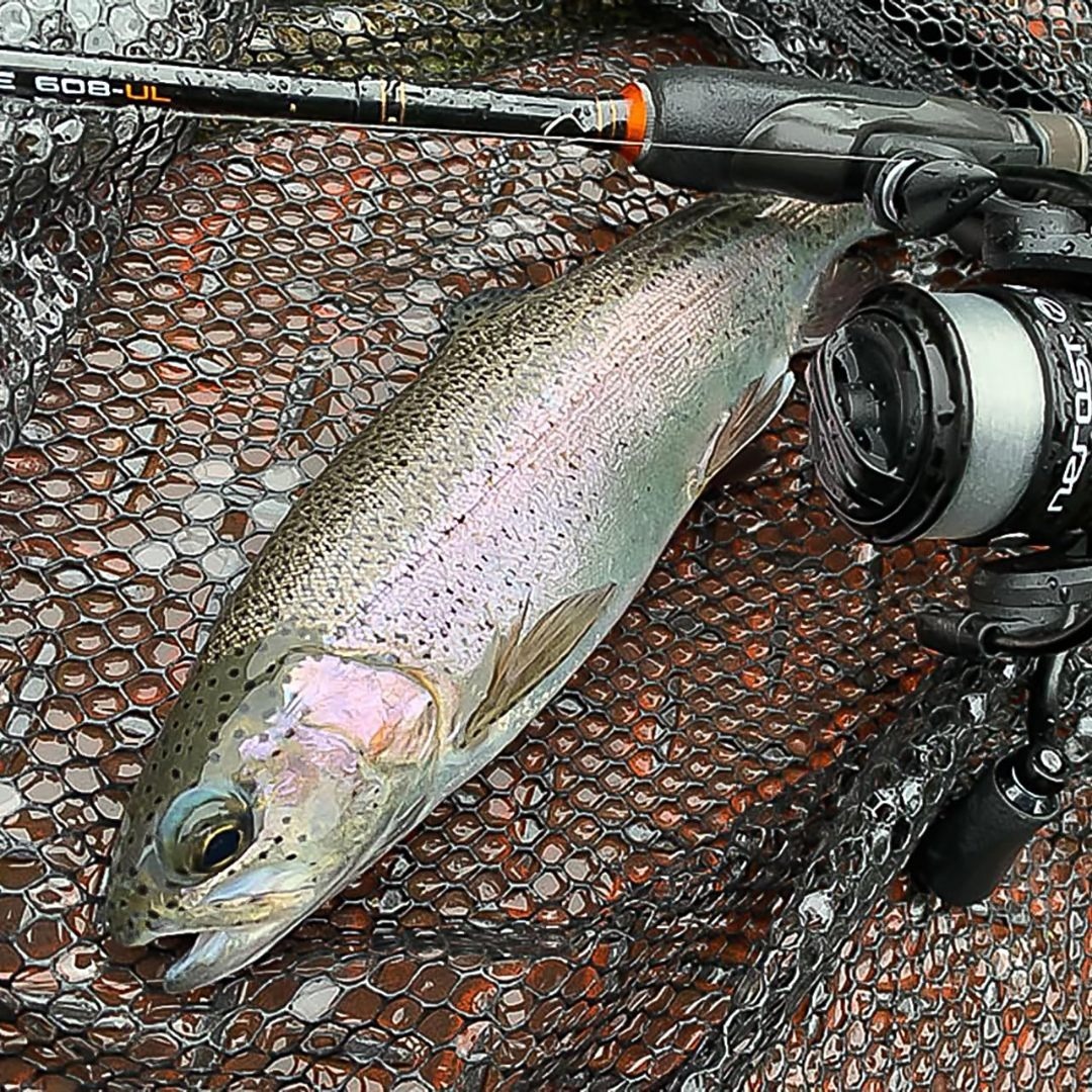 プロックス(PROX) アルミフレーム(四つ折)ラバーコーティングネット付/ラウ その他のその他(その他)の商品写真