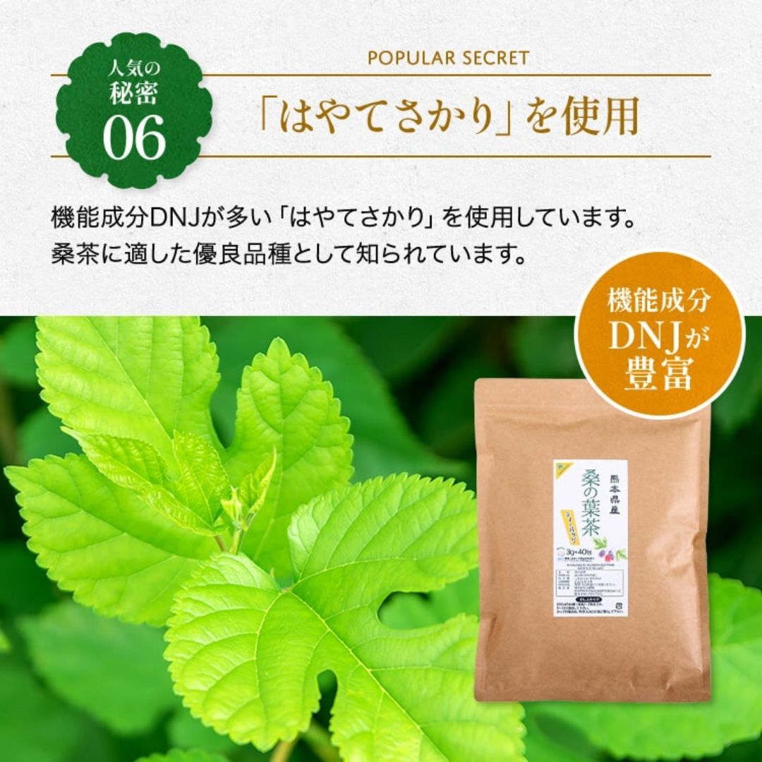 山麓園(サンロクエン)の熊本県産 100％ 桑の葉茶 ティーバッグ 3g×40包 (120g) 1000円 ポッキリ 送料無料 糖質を気にしている方におすすめ 桑の葉 国産 無農薬 桑茶 ティーパック ノンカフェイン 無添加 ナノプラスチックが溶出しない食品由来のティーバッグ 環境と身体に◎ 食品/飲料/酒の飲料(茶)の商品写真
