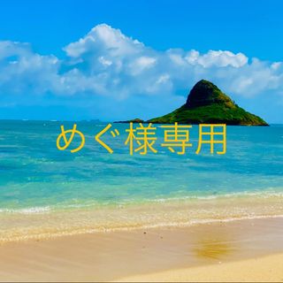 ナースポケットオーガナイザー オーダー ハンドメイド ペンケース