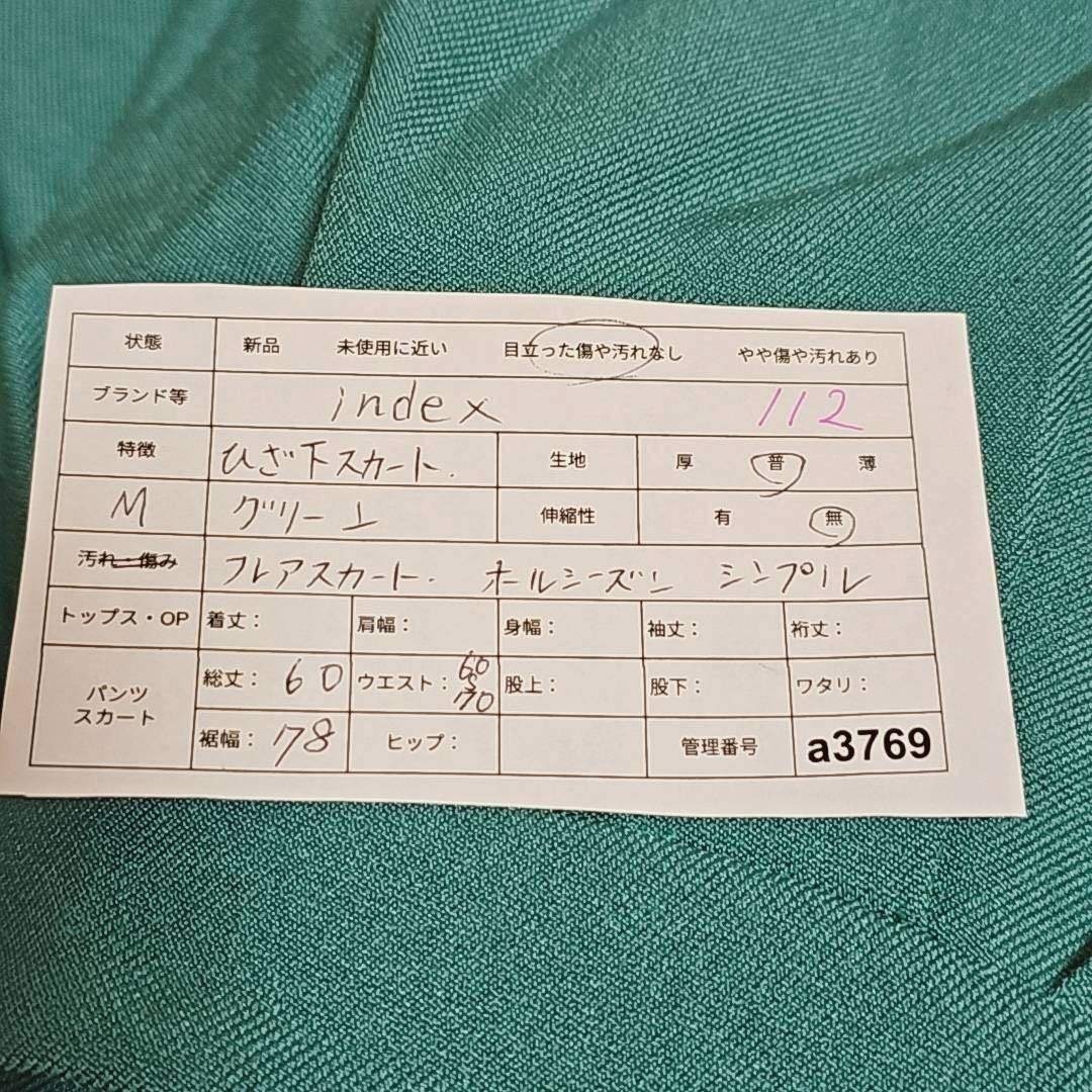 INDEX(インデックス)のindex グリーン系 フレアスカート M オールシーズン レディースのスカート(ロングスカート)の商品写真