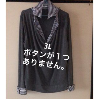 大きいサイズ(Tシャツ(長袖/七分))