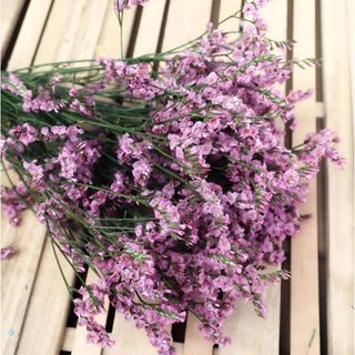 スーパーレディーピンク大束・北海道ドライフラワー