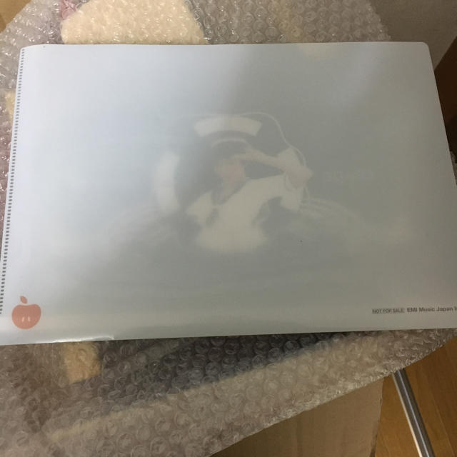 椎名林檎 A4サイズ ファイル エンタメ/ホビーのアニメグッズ(クリアファイル)の商品写真