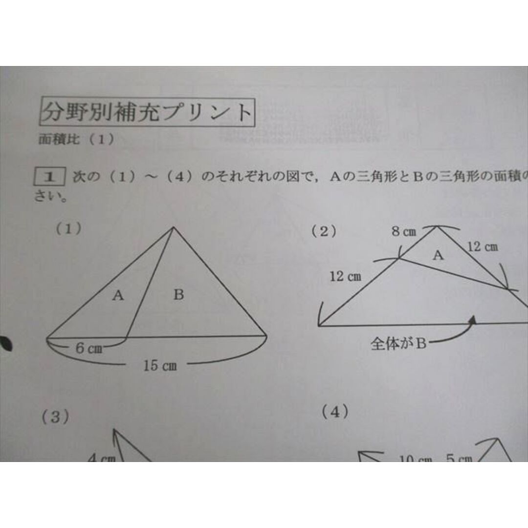 SAPIX サピックス 小6 算数 分野別補充プリント テスト計20回 面積比 等 2022 013s2D エンタメ/ホビーの本(語学/参考書)の商品写真