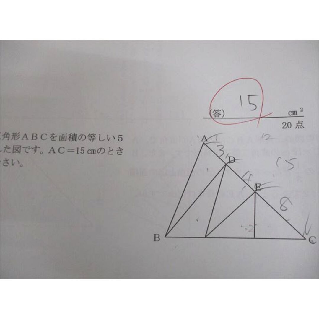SAPIX サピックス 小6 算数 分野別補充プリント テスト計20回 面積比 等 2022 013s2D エンタメ/ホビーの本(語学/参考書)の商品写真