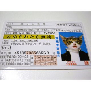 【なめ猫 免許証風 ブロマイド ニャン太郎】なめんなよ猫 なめねこ 金 癒やし