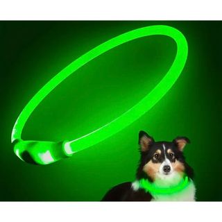 【大人気商品】USB充電光る首輪