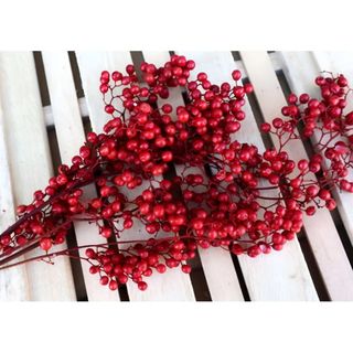 ペッパーベリー赤大束・北海道ドライフラワー ハーバリウム