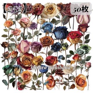 【252】コラージュ素材 シール ステッカー PET 花 薔薇 装飾 50枚
