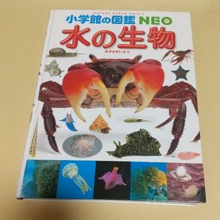 「水の生物」白山 義久 / 松沢 陽士 / 楚山 いさむ