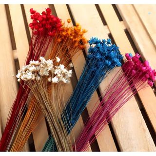 北海道ドライフラワー　ミニスターフラワー５色ミックスセット・プリザーブドフラワー