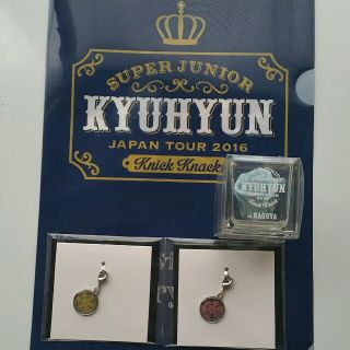 super juniorキュヒョン ブリザードフラワー 全会場セット