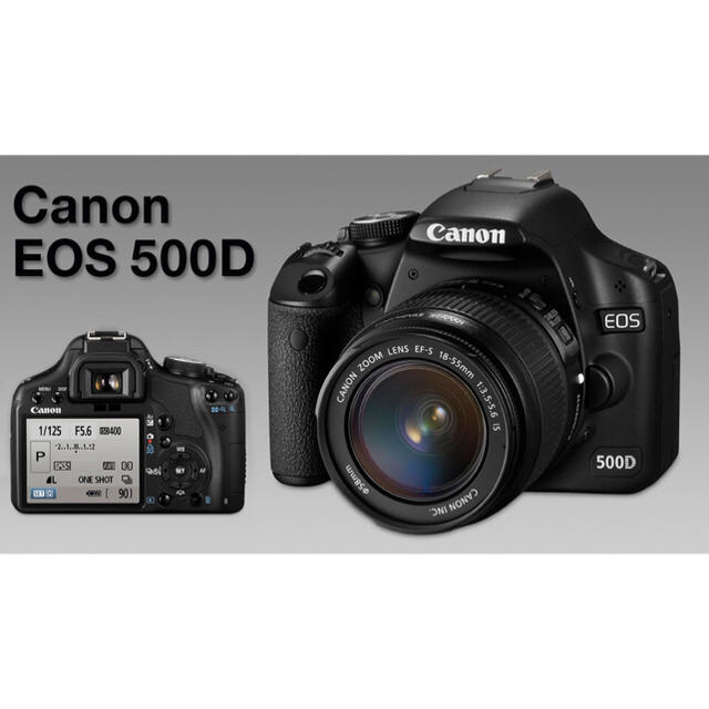 代引き手数料無料 □希少!欧州版□ キヤノン EOS CANON EOS CANON