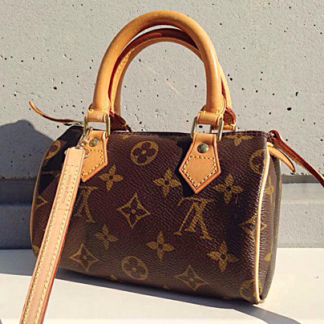 LOUIS VUITTON - 【正規品、廃盤モデル⭐︎】ルイヴィトンミニ