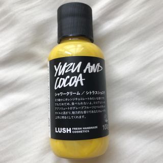 ラッシュ(LUSH)のLUSH シャワークリーム(ボディソープ/石鹸)