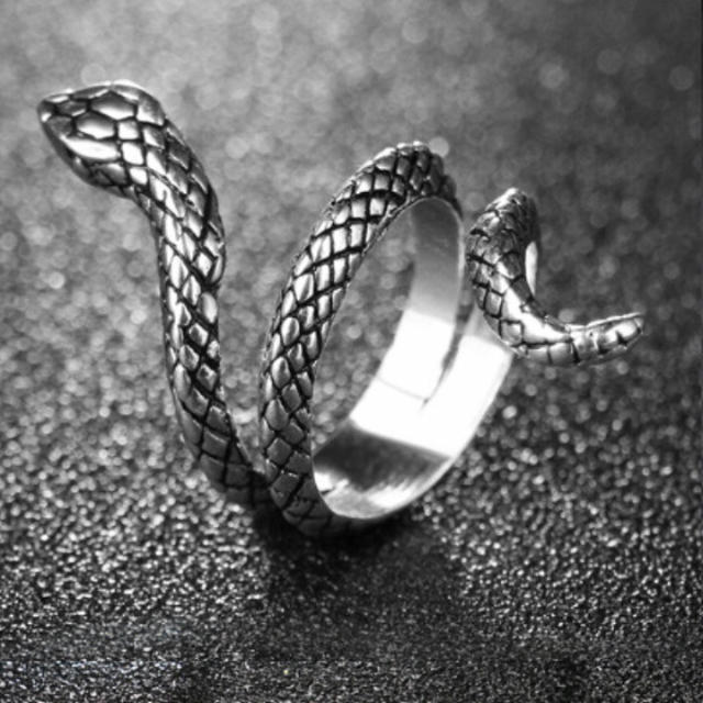 銀蛇シルバーリング レディースのアクセサリー(リング(指輪))の商品写真