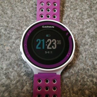 GARMIN ForeAthlete220J(その他)