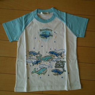 半袖(Tシャツ/カットソー)