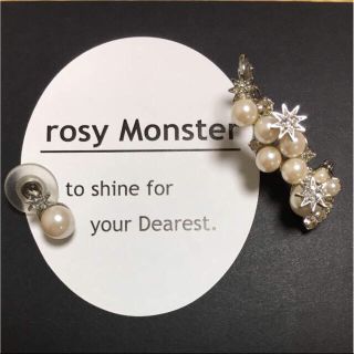 チェスティ(Chesty)のrosymonsterピアス&イヤーカフ(イヤリング)(イヤリング)