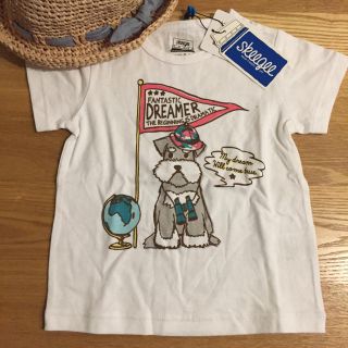 ブランシェス(Branshes)の新品！ branshes半袖Tシャツ 90(Tシャツ/カットソー)