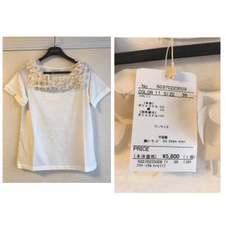 ノーリーズ(NOLLEY'S)の新品 フレディアンドグロスター  フラワーフリルプルオーバー(Tシャツ(半袖/袖なし))