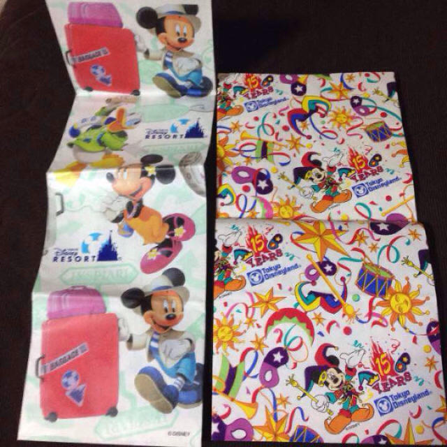 Disney 激レア ディズニーランド 昔の紙袋 過去 昔 15周年 Disney ディズニーの通販 By ストロベリー ディズニーならラクマ