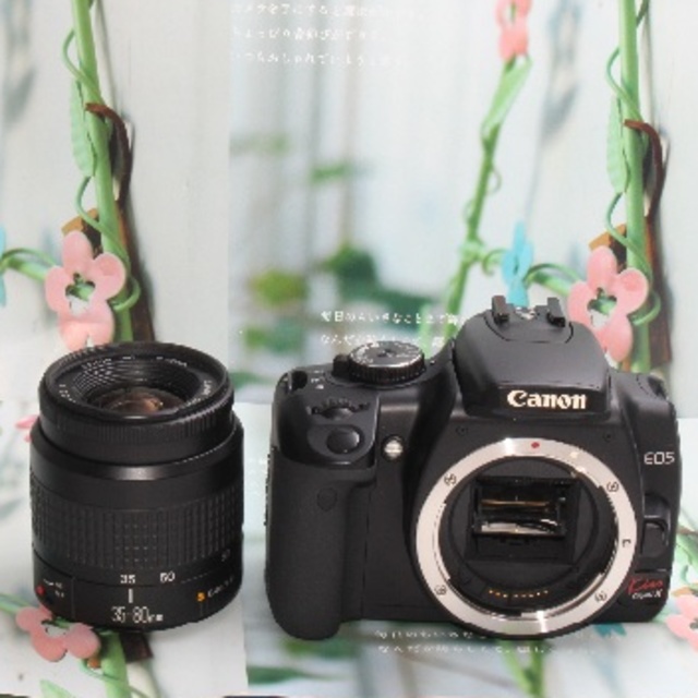 ❤️初心者最適&人気のキャノン❤️Canon Kiss Digital X❤️ ❤️初心者最適&人気のキャノン❤️Canon Kiss Digital X❤️
