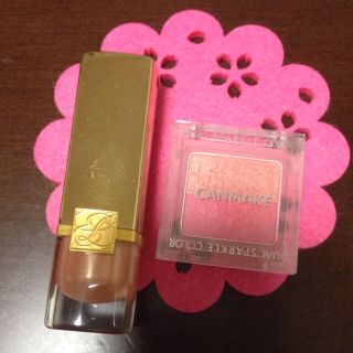 エスティローダー(Estee Lauder)のエスティローダーリップ おまけつき(その他)