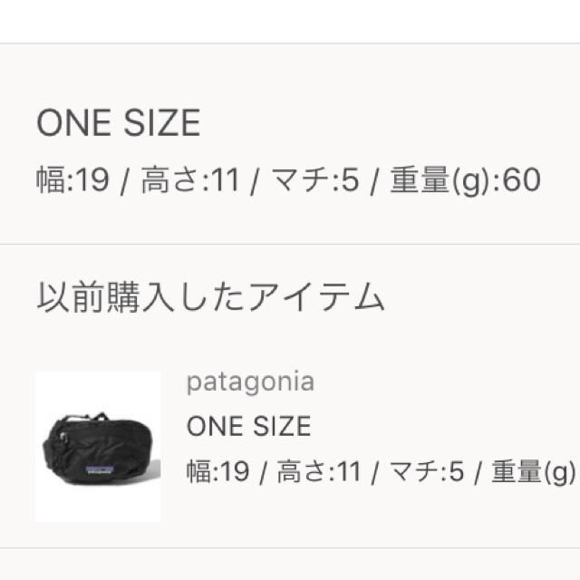 patagonia(パタゴニア)の[タグ付き] Patagonia waist bag メンズのバッグ(ウエストポーチ)の商品写真