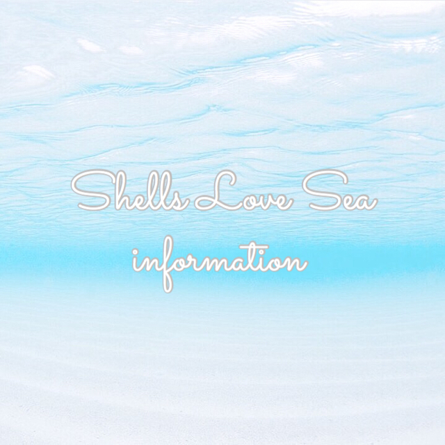 Shells Love Sea♡ 紹介ページ