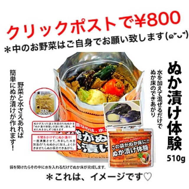 ぬか漬け体験 510g (A4サイズ クリックポスト) 食品/飲料/酒の加工食品(漬物)の商品写真