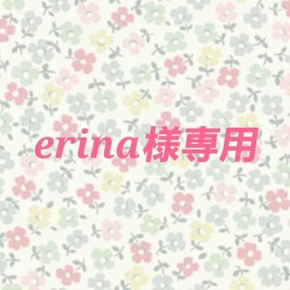 erina様専用ページ(イヤリング)