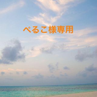 エヌナチュラルビューティーベーシック(N.Natural beauty basic)のぺるこ様おまとめ専用ページ☆(ひざ丈スカート)