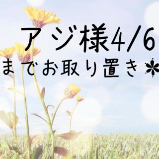 プチジャム(Petit jam)のアジ様4/6までお取り置き＊(その他)