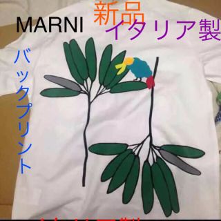 マルニ(Marni)の限定品☆阪急梅田マルニフラワーカフェTシャツオーバーサイズロゴTバックプリント(Tシャツ(半袖/袖なし))